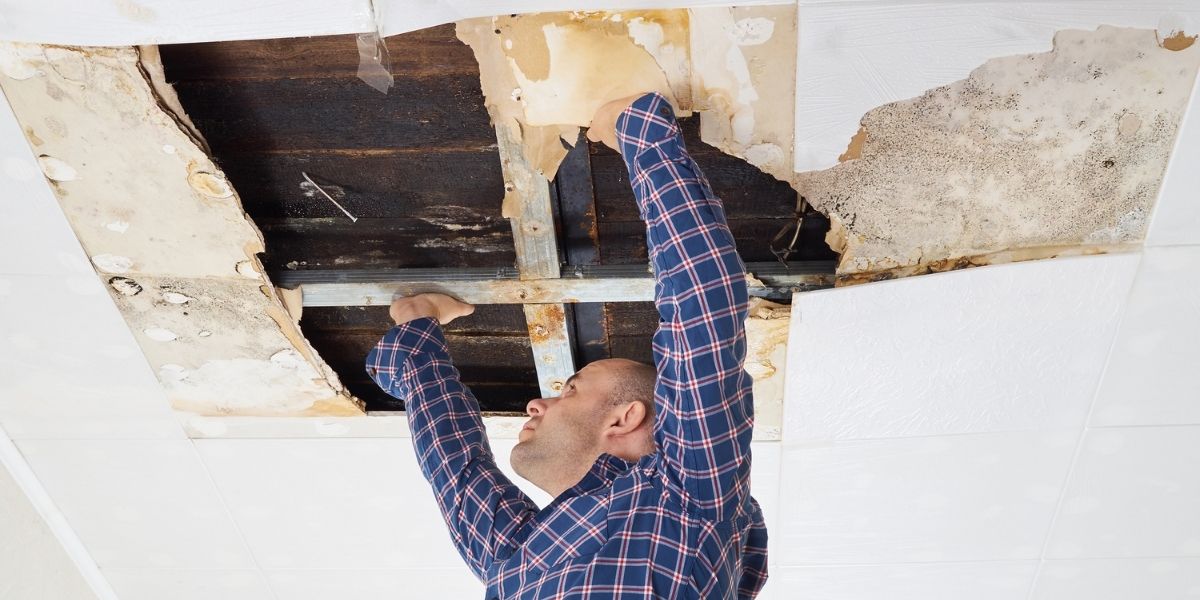 Who has the Best Sagging Ceiling Repair Services in Perth WA